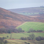 North York Moors